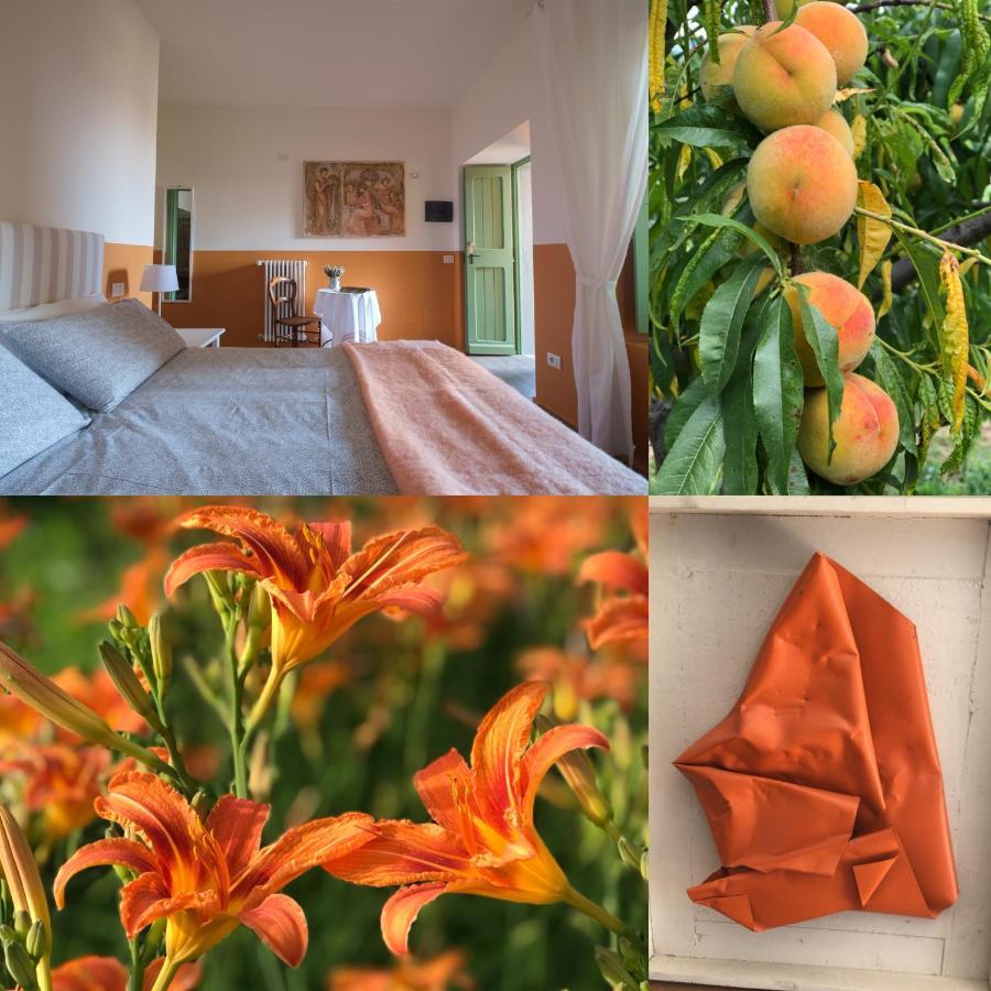 Agriturismo Il Belvedere Palazzago Luaran gambar